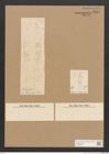 Diatomeae indet. Zeichnungen Sammlung Grunow Nr. 2589 (NHMW-BOT-W0369780)